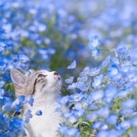 むかいます🌥️