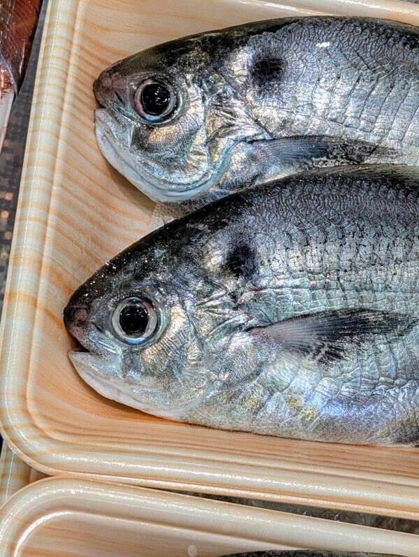 出勤です