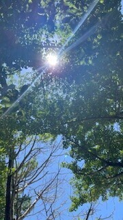 つかの間の休息🌳𓂅𓂅︎︎︎︎︎︎︎︎︎︎︎︎︎︎