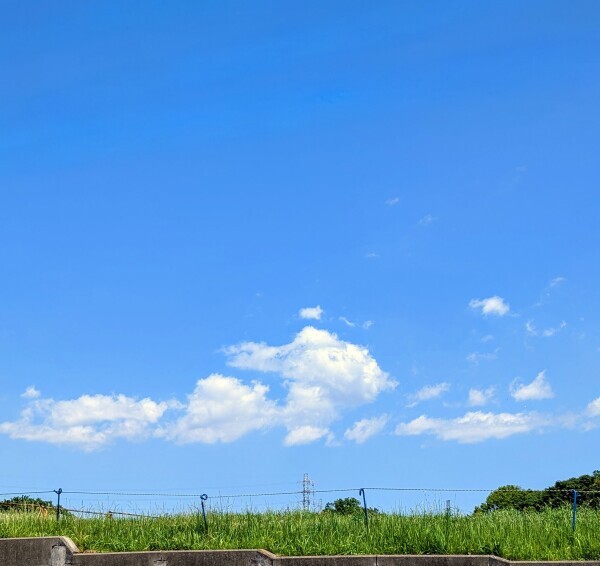 おはようございます！