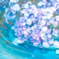 こんにちは🧸🌿🥯