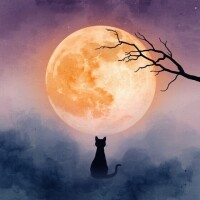 ✨今日も一日お疲れ様です✨