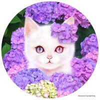 ✨おはようございます✨