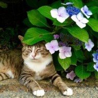 ✨出勤しました✨
