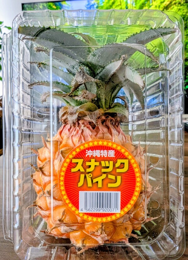 出勤です