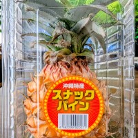 出勤です