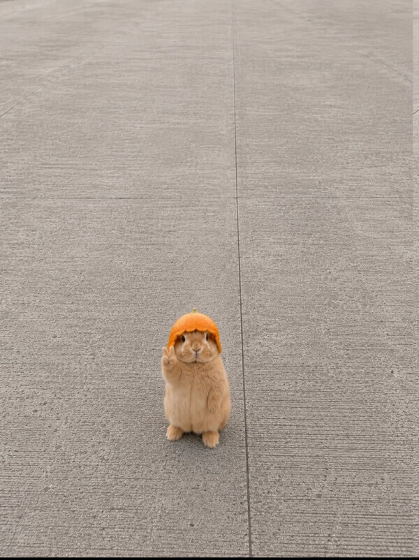 おはよ‎ꜝ❤︎⬞♪