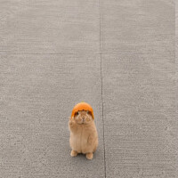 おはよ‎ꜝ❤︎⬞♪