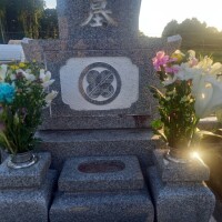 お墓参り🌸