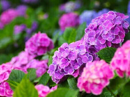 June🍒*˖°