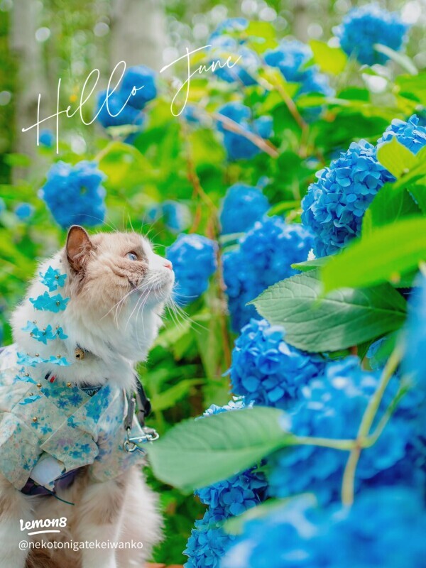 ✨出勤しました✨