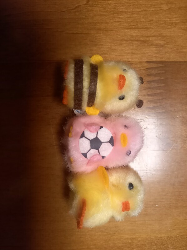 ぴよりーな🐥🐤✨