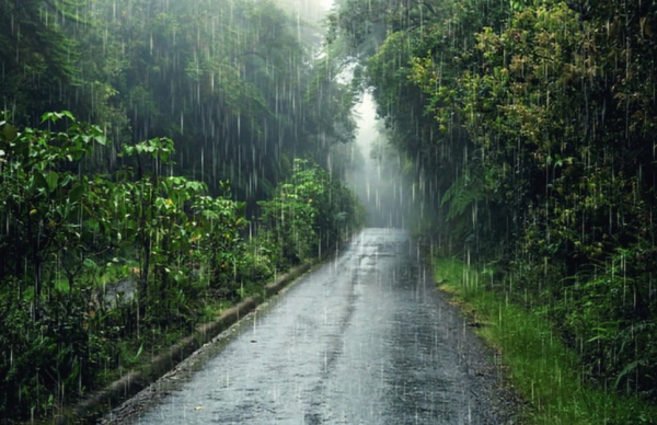 気を付けてね☂️💦