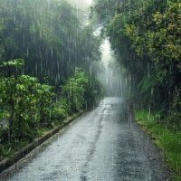 気を付けてね☂️💦