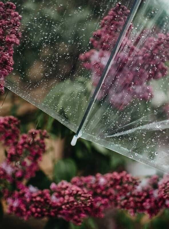 出勤しました☔