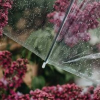出勤しました☔