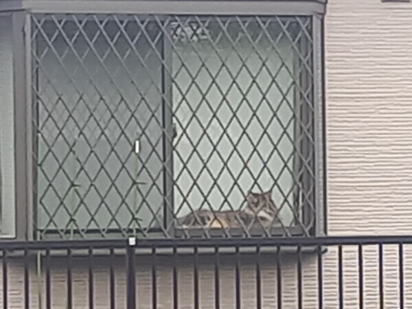 着いちゃった😅