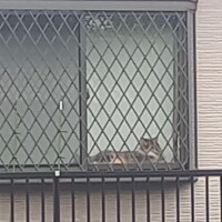 着いちゃった😅