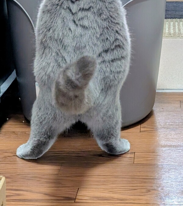 出勤です