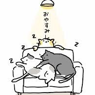 お休みなさい( ᎔‐ ~-᎔)𓈒𓂂𓏸