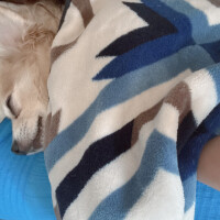 金曜日遅くから出勤です🤗