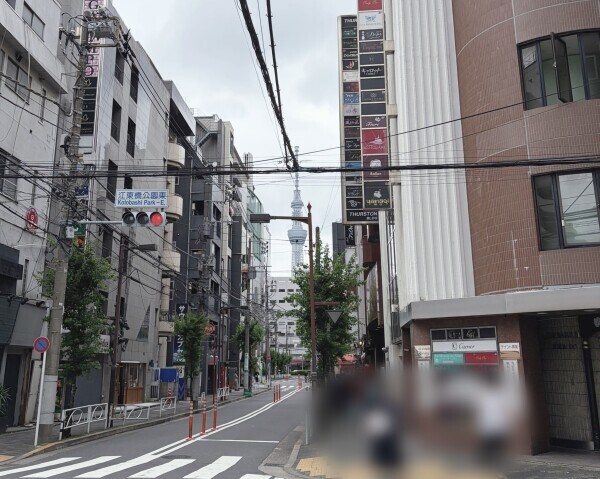(*˙꒫˙* )
