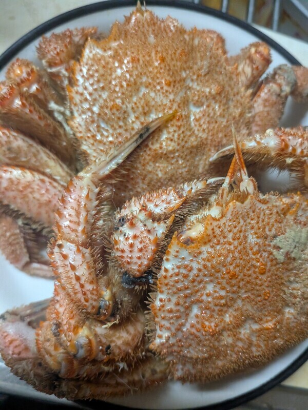 かにかに🦀