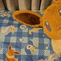 夏用