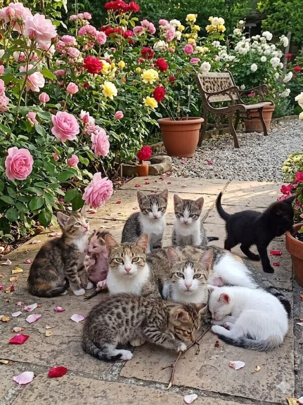 出勤しました😹