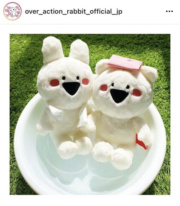 🐰