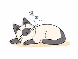 寝まーす( ˘ω˘ )ｽﾔｧ…