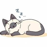 寝まーす( ˘ω˘ )ｽﾔｧ…