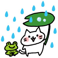 梅雨入り☔️