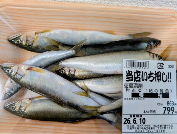 出勤です