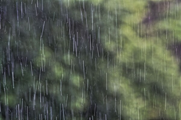 雨の日は…