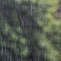 雨の日は…