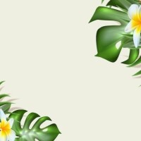 水曜日お昼から出勤です🤗