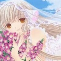 ⸜(*ˊᗜˋ*)⸝