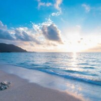 明日 夕方から出勤致します