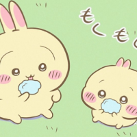 鮭🍙食べたよ✨