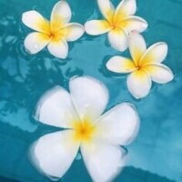 土曜日お休みです🙏