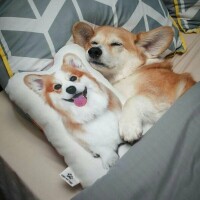 おはようございます✨