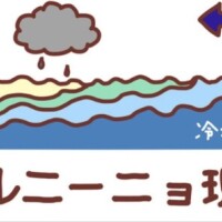 おやすみなさい