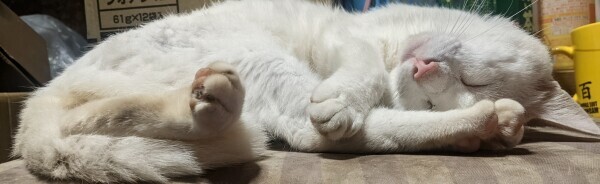 平日出勤のお知らせ😊