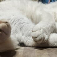 平日出勤のお知らせ😊