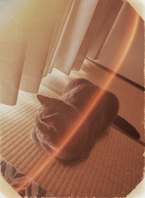 それでは…