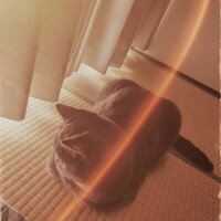 それでは…