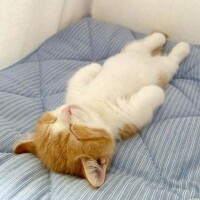 お休み1日目😹
