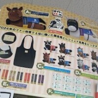 どうしてもおおおお！！