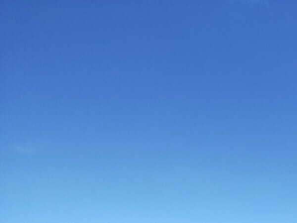青空♪